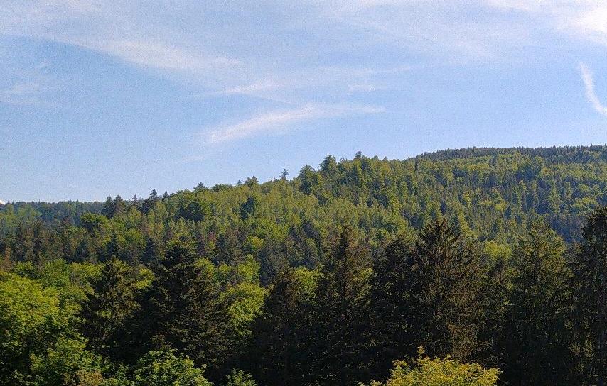 Etagenwohnung Bad Herrenalb - 1.5 Zimmer, 120.000&euro; | Angebot:20986638