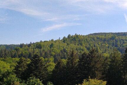 Wohnung Bad Herrenalb - 1.5 Zimmer, 120.000&euro; | Angebot:20986638