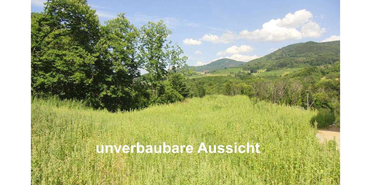 Grundstück Sasbach - 269.500&euro; | Angebot:25736436