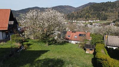 IDYLLE IN NATUR UND STADT - Grundstück Bühlertal | Angebot:26501813