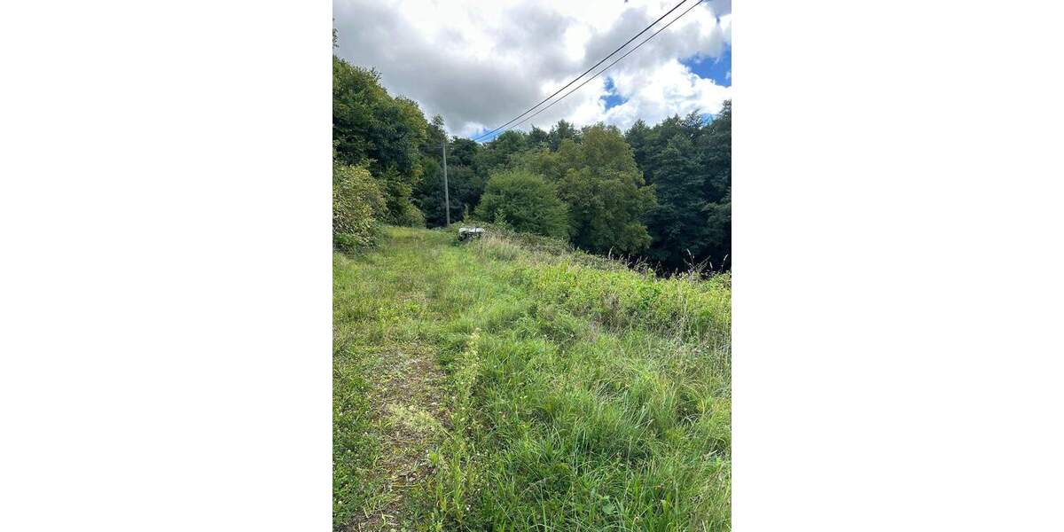 Grundstück Gaggenau Winkel - 165.000&euro; | Angebot:25671496