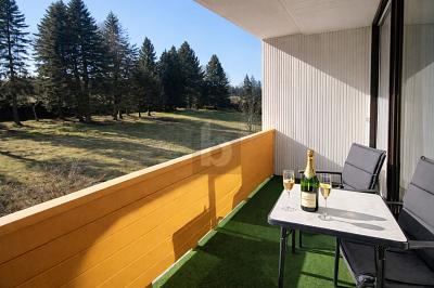 SEELENORT MIT HOTELKOMFORT IM SCHWARZWALD - Etagenwohnung Seewald | Angebot:25864761