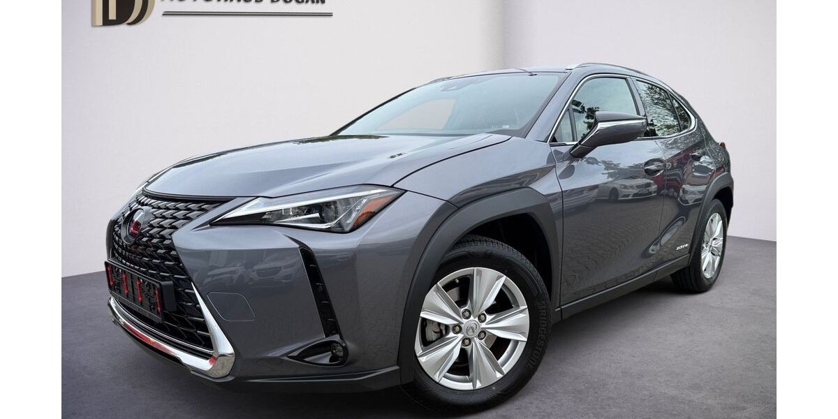 Lexus UX 24.500 km 24.780 &euro; Rastatt 76437