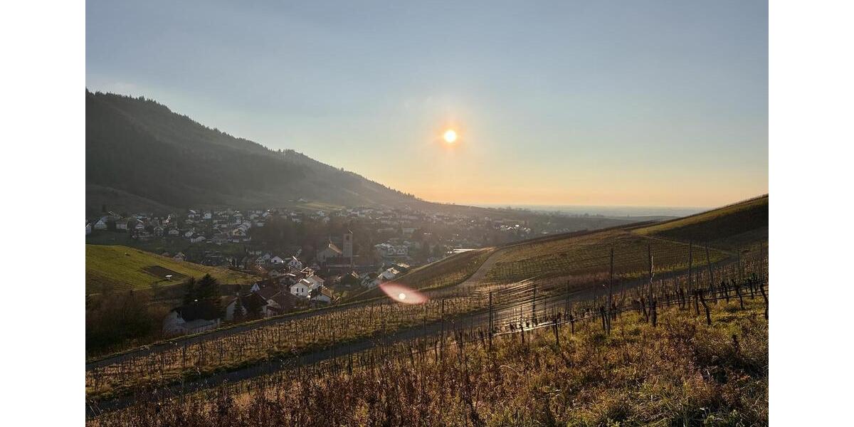 Etagenwohnung Baden-Baden Lichtental - 3 Zimmer, 80 m&sup2;, 990&euro; | Angebot:25416480