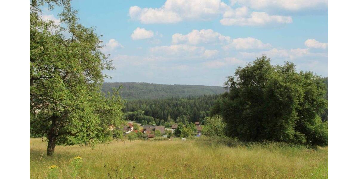 Grundstück Bad Wildbad Sprollenhaus - 124.500&euro; | Angebot:26487604