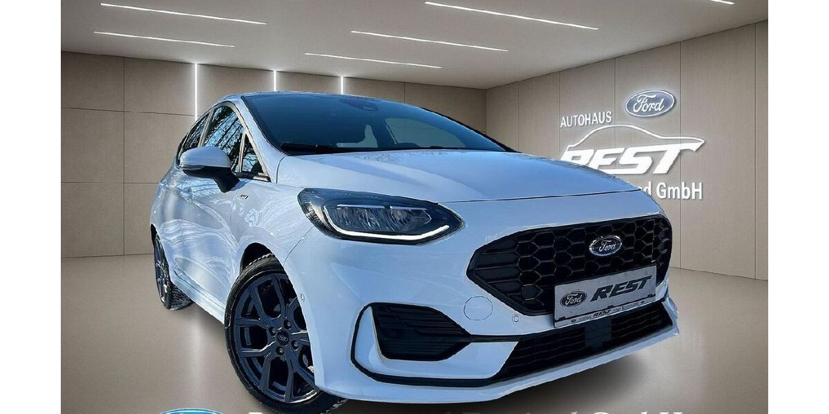 Ford Fiesta 9.980 km 19.250 &euro; Achern 77855