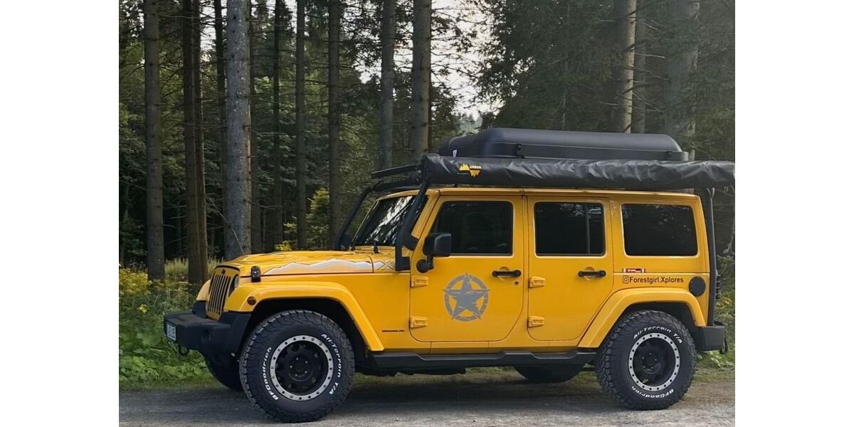 Jeep Wrangler 155.501 km 29.000 &euro; Gernsbach 76593