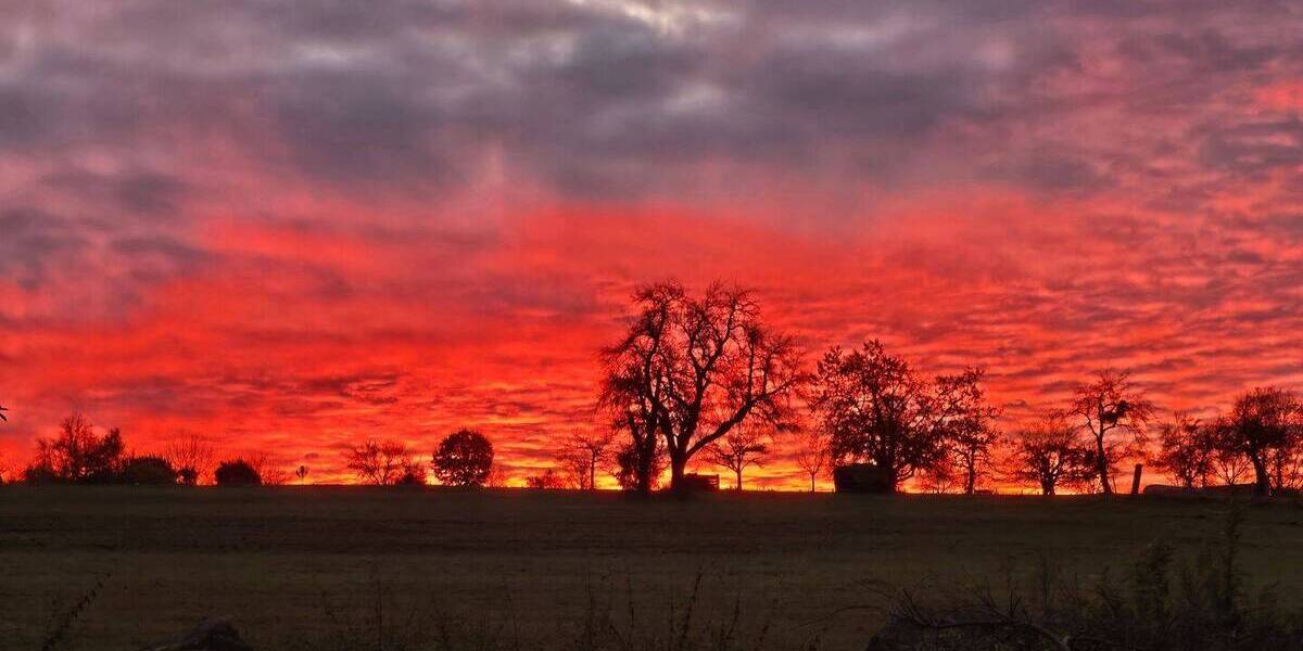 Einfamilienhaus Marxzell Pfaffenrot - 9 Zimmer, 309 m&sup2;, 1.090.000&euro; | Angebot:25666919