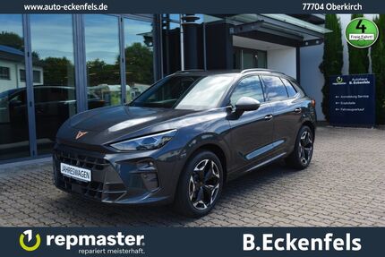 Cupra Terramar 1.500 km 37.950 &euro; Oberkirch 77704