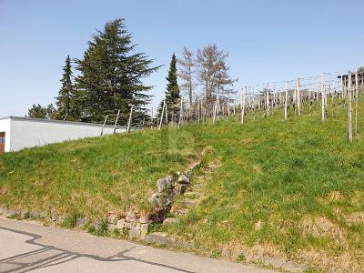 AUSSICHT & LEBENSQUALITÄT - Grundstück Bühlertal | Angebot:26570931