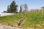AUSSICHT & LEBENSQUALITÄT - Grundstück Bühlertal | Angebot:26570931