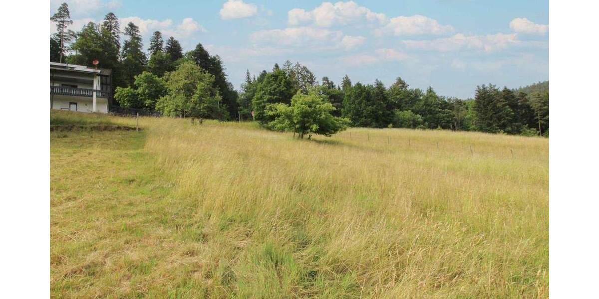 Grundstück Bad Wildbad Sprollenhaus - 124.500&euro; | Angebot:25749679