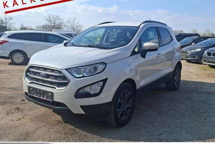 Ford EcoSport 134.894 km 6.500 &euro; Achern 77855