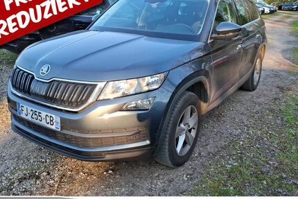 Skoda Kodiaq 256.532 km 13.385 &euro; Achern 77855