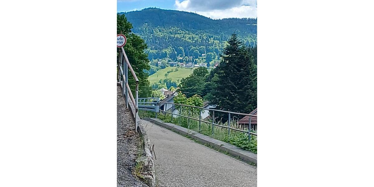 Hochparterre Bad Herrenalb - 1 Zimmer, 45 m&sup2;, 670&euro; | Angebot:25948387