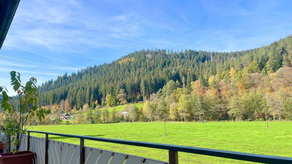 Etagenwohnung Enzklösterle Mittelenztal - 4 Zimmer, 189 m&sup2;, 349.000&euro; | Angebot:25702715