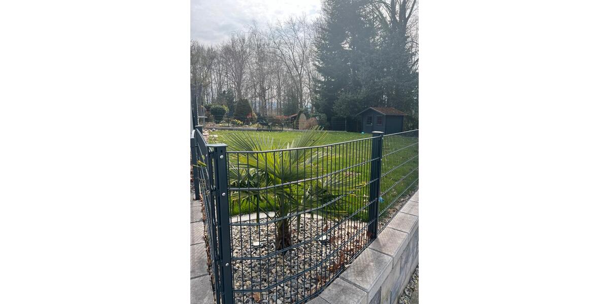 Einfamilienhaus Gaggenau - 5 Zimmer, 146 m&sup2;, 685.000&euro; | Angebot:25422981