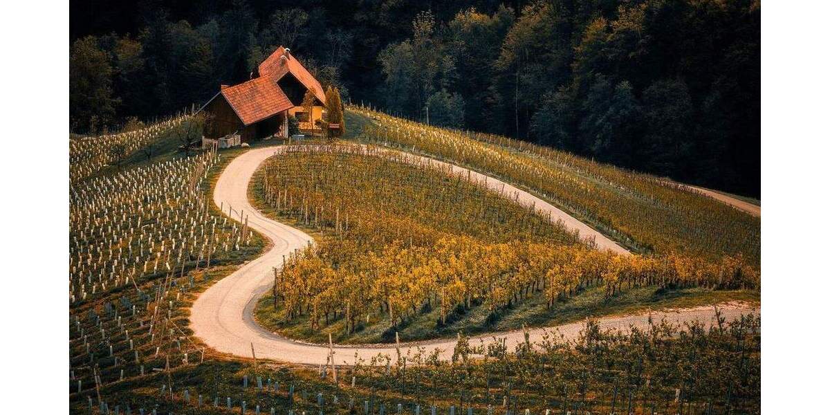 Etagenwohnung Oberkirch Tiergarten - 3 Zimmer, 90 m&sup2;, 683&euro; | Angebot:25659137