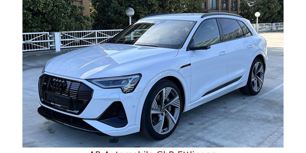 Audi e-tron 43.893 km 39.900 &euro; Ettlingen 76275