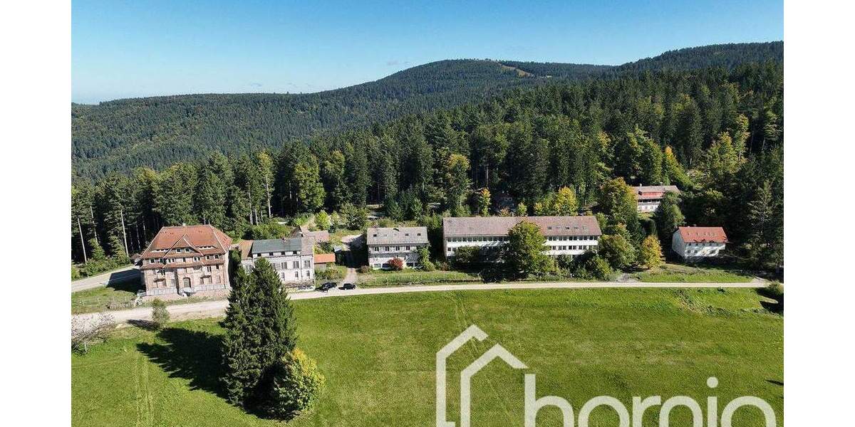 Mehrfamilienhaus, Wohnhaus Sasbachwalden - 7 Zimmer, 2 m&sup2;, 799.000&euro; | Angebot:25740029