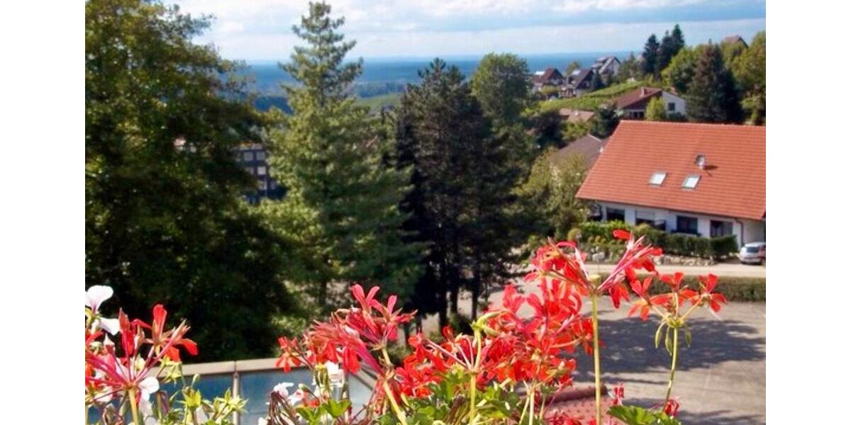 Etagenwohnung Sasbachwalden - 1 Zimmer, 25 m&sup2;, 550&euro; | Angebot:24844992