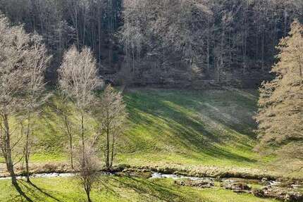 Wohnung Bad Herrenalb - 2.5 Zimmer, 70 m&sup2;, 159.000&euro; | Angebot:25476173