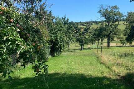 Haus Marxzell - 9 Zimmer, 250 m&sup2;, 559.000&euro; | Angebot:24719876