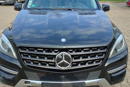 Mercedes-Benz ML 350 268.551 km 13.900 &euro; Baden Baden 76532