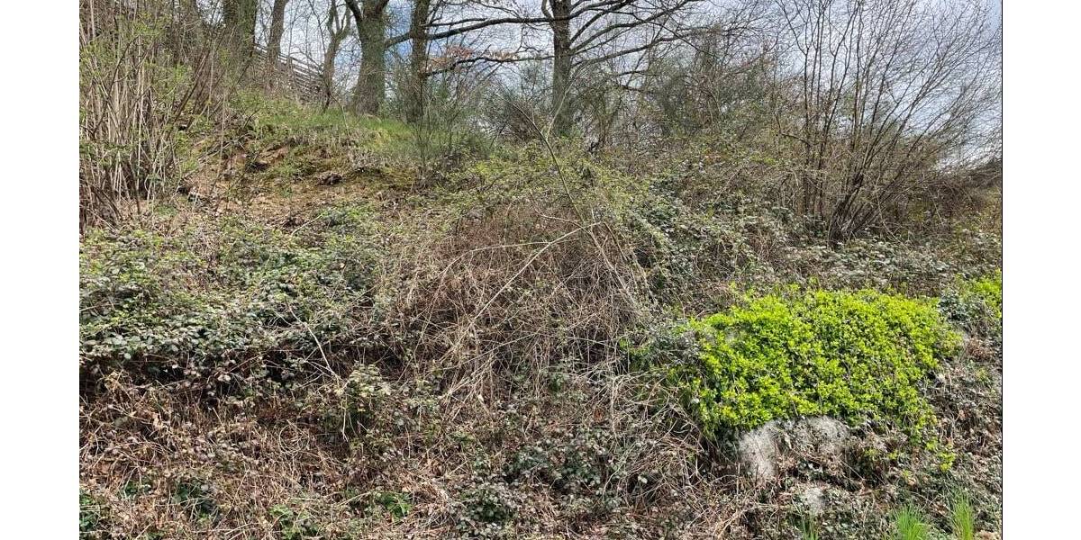 Grundstück Forbach - 62.500&euro; | Angebot:25730425