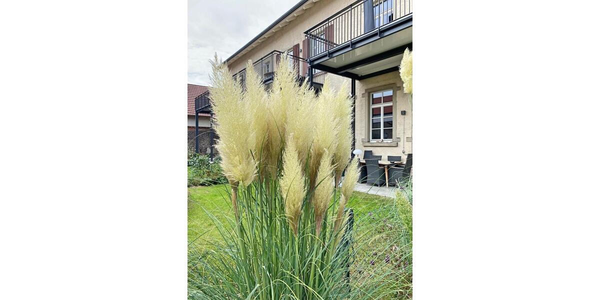 Erdgeschoßwohnung Rheinau - 2.5 Zimmer, 76 m&sup2;, 990&euro; | Angebot:25309599