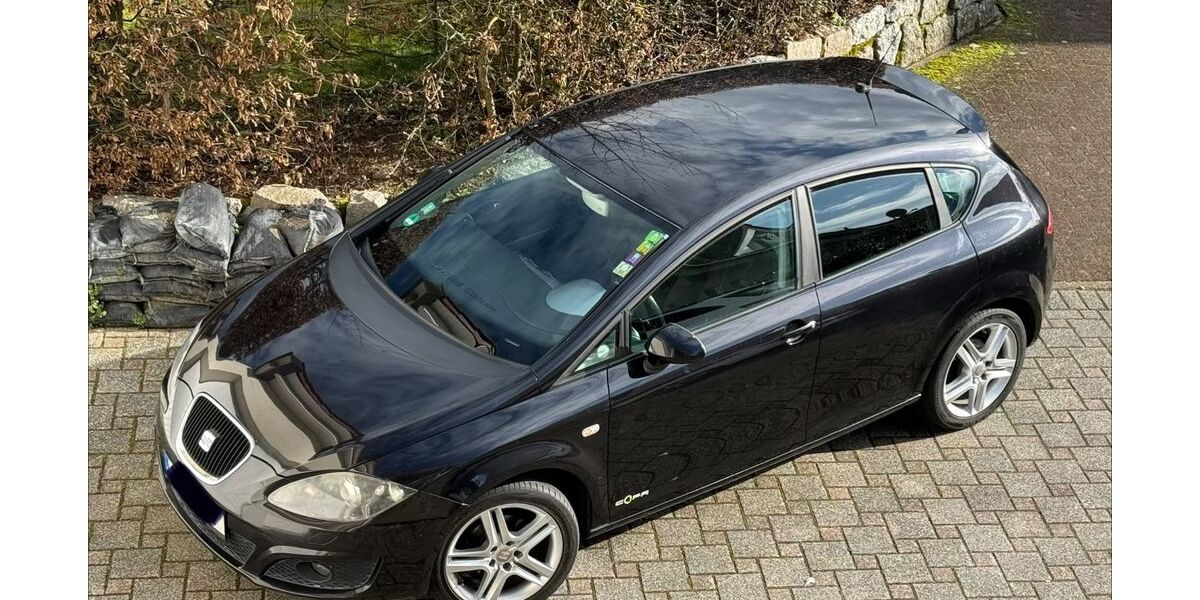 Seat Leon 247.000 km 3.590 &euro; Oberkirch 77704