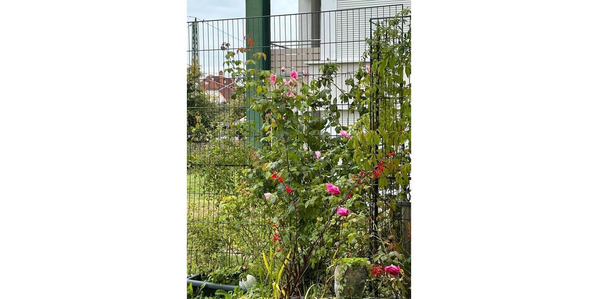 Erdgeschoßwohnung Gaggenau - 3 Zimmer, 110 m&sup2;, 475.000&euro; | Angebot:25106953