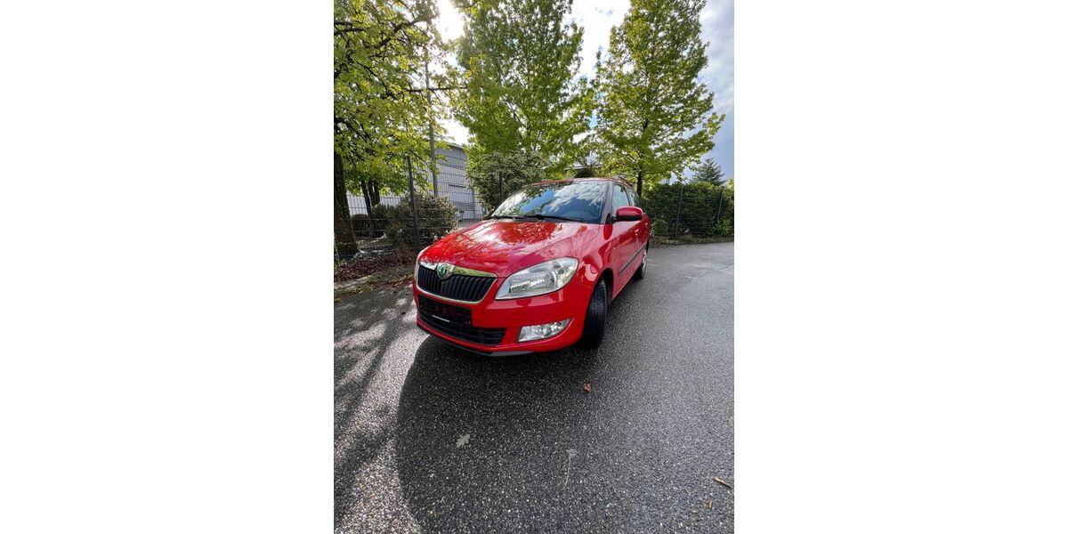 Skoda Fabia 216.387 km 2.750 &euro; Achern 77855