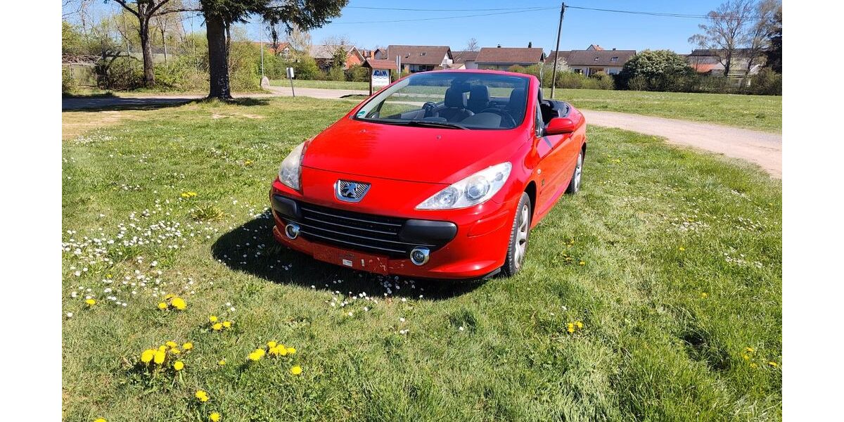 Peugeot 307 183.300 km 2.299 &euro; Bühl 77815