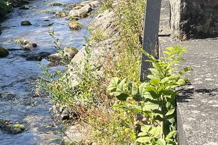 Grundstück Baden- Baden Baden - 175.000&euro; | Angebot:24610008