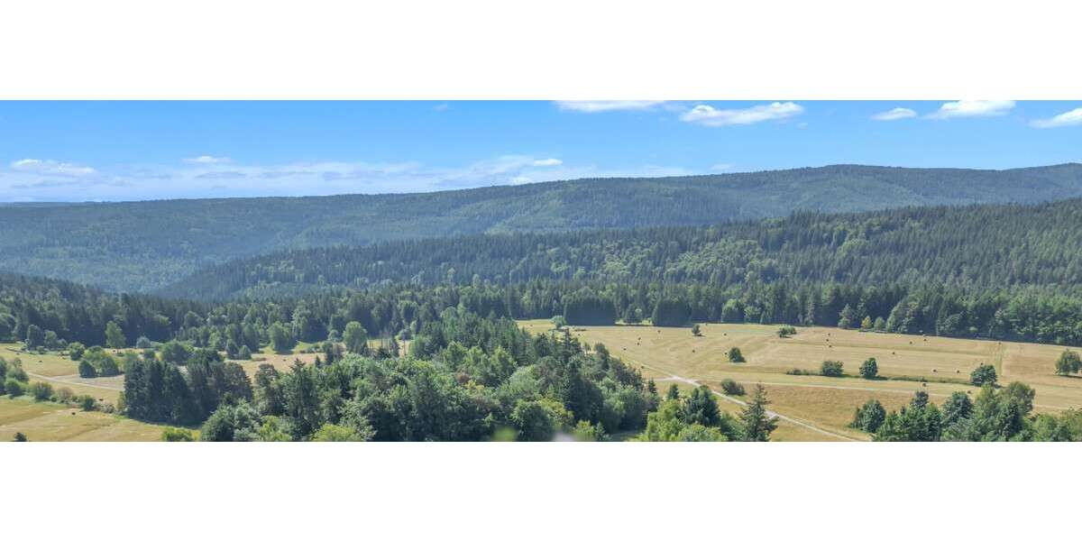 Einfamilienhaus Dobel - 8 Zimmer, 205 m&sup2;, 495.000&euro; | Angebot:25353513