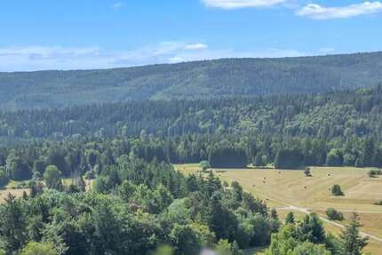 Haus Dobel - 8 Zimmer, 205 m&sup2;, 495.000&euro; | Angebot:25353513