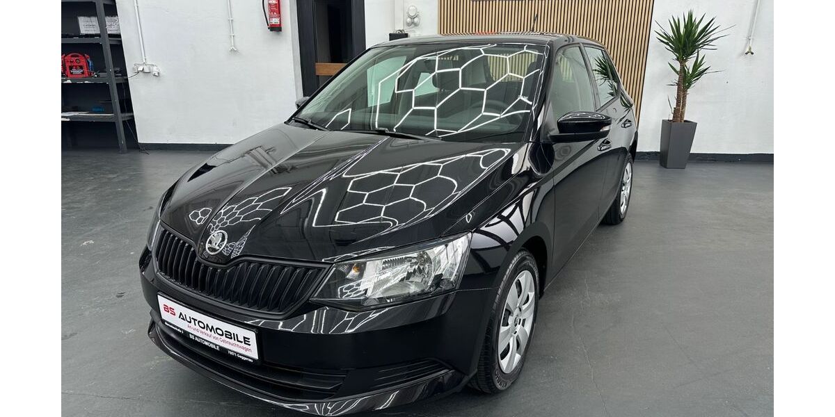 Skoda Fabia 80.102 km 8.300 &euro; Gaggenau 76571