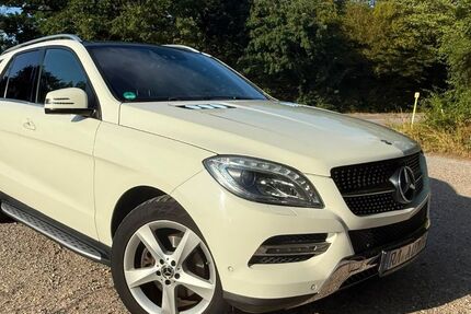Mercedes-Benz ML 350 274.000 km 17.500 &euro; Durmersheim 76448