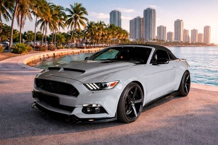 Ford Mustang 218.000 km 20.800 &euro; Sinzheim 76547