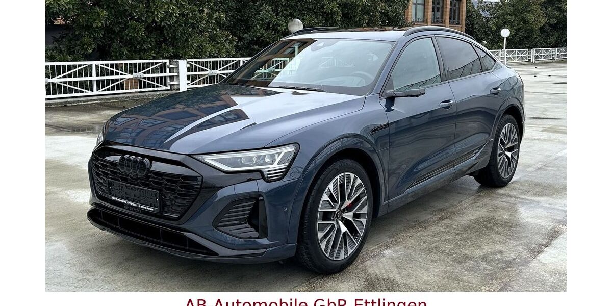 Audi Q8 31.497 km 51.900 &euro; Ettlingen 76275