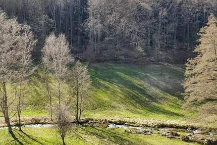 Wohnung Bad Herrenalb - 2 Zimmer, 70 m&sup2;, 159.000&euro; | Angebot:25747484