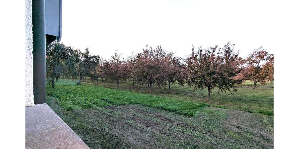 Doppelhaushälfte Achern Mösbach - 4 Zimmer, 105 m&sup2;, 265.000&euro; | Angebot:25707642