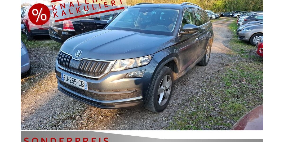 Skoda Kodiaq 256.532 km 14.785 &euro; Achern 77855