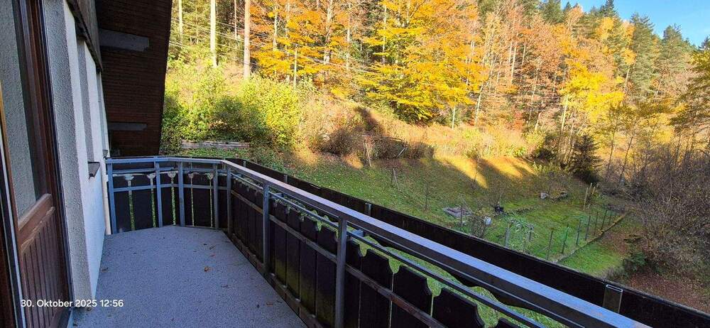 Mehrfamilienhaus, Wohnhaus Bad Wildbad - 8 Zimmer, 221 m&sup2;, 950.000&euro; | Angebot:25880993