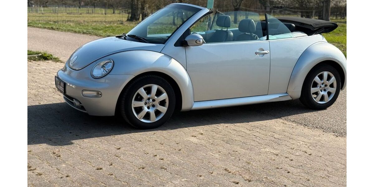 VW New Beetle 240.000 km 3.750 &euro; Muggensturm 76461