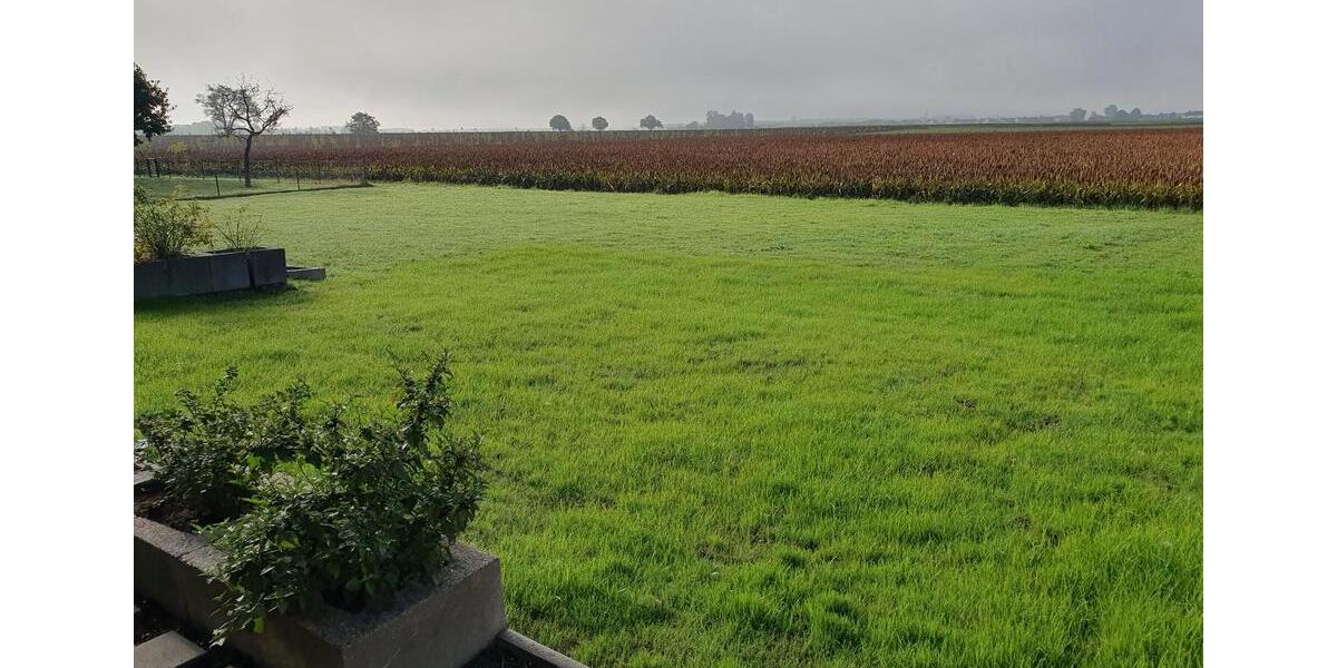 Einfamilienhaus Rheinmünster - 4 Zimmer, 137 m&sup2;, 479.000&euro; | Angebot:24995562