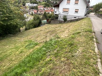 SCHÖNE AUSSICHTEN FÜR EIN GEMEINSAMES ZUHAUSE - Grundstück Weisenbach | Angebot:25893174