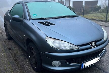 Peugeot 206 111.181 km 2.499 &euro; Rheinmünster 77836
