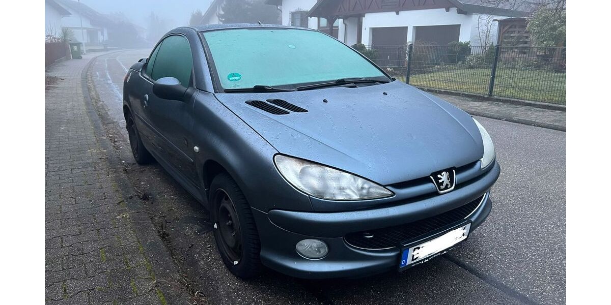 Peugeot 206 111.181 km 2.499 &euro; Rheinmünster 77836